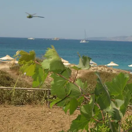 Aronis Naxos Lägenhet