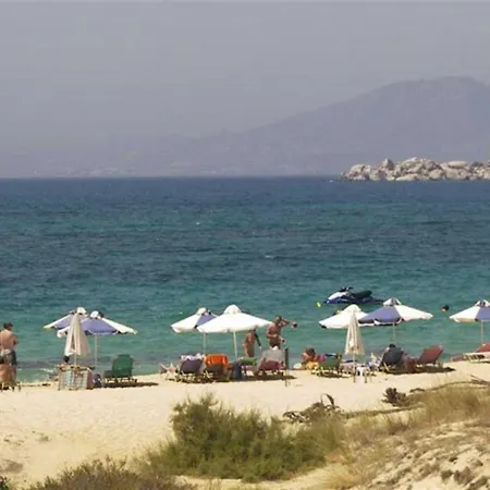 Aronis Naxos Πλάκα
