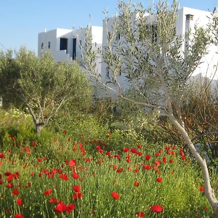Apartament Aronis Naxos