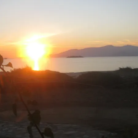 Aronis Naxos *