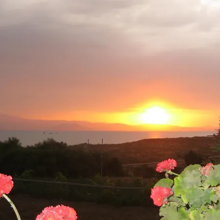Aronis Naxos *