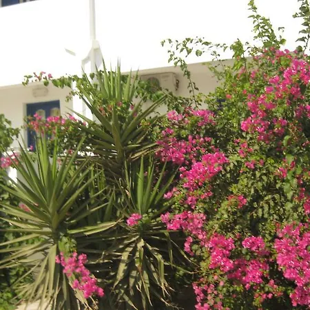 Apartment Aronis Naxos