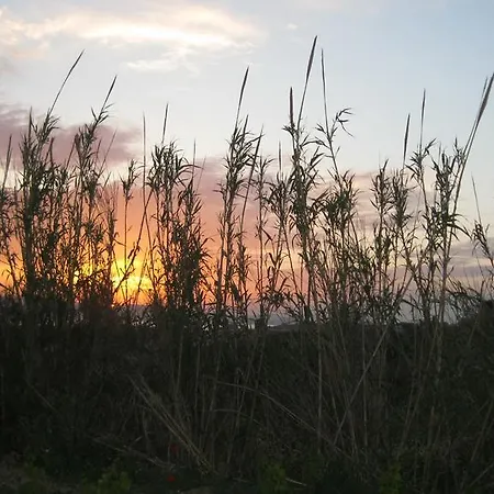 Appartamento Aronis Naxos *