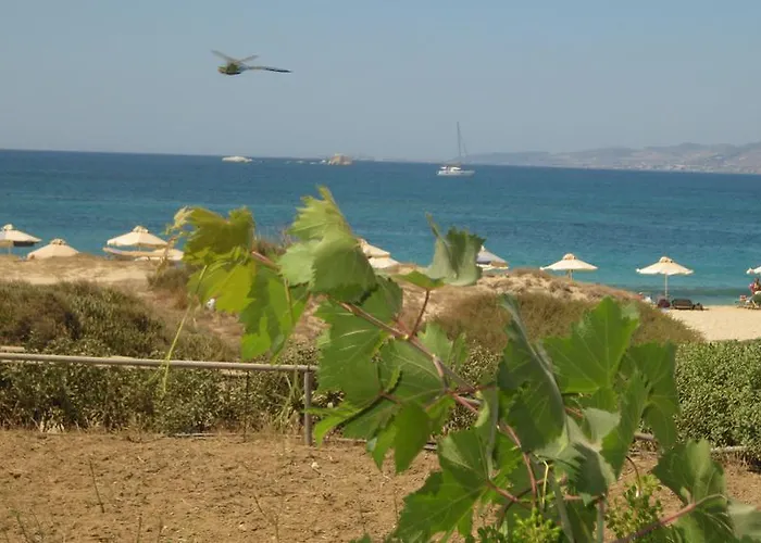 Aronis Naxos Lägenhet